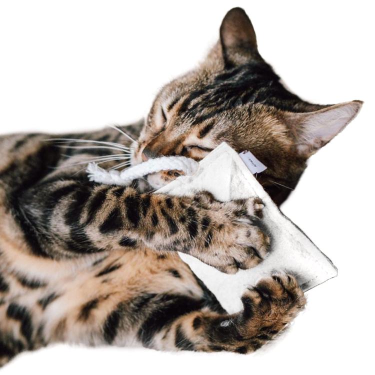 Poduszeczka do Przytulania dla kota| Canadian Cat | FELTY | biała | kocimiętka 5g  od ParrotPlanet.pl