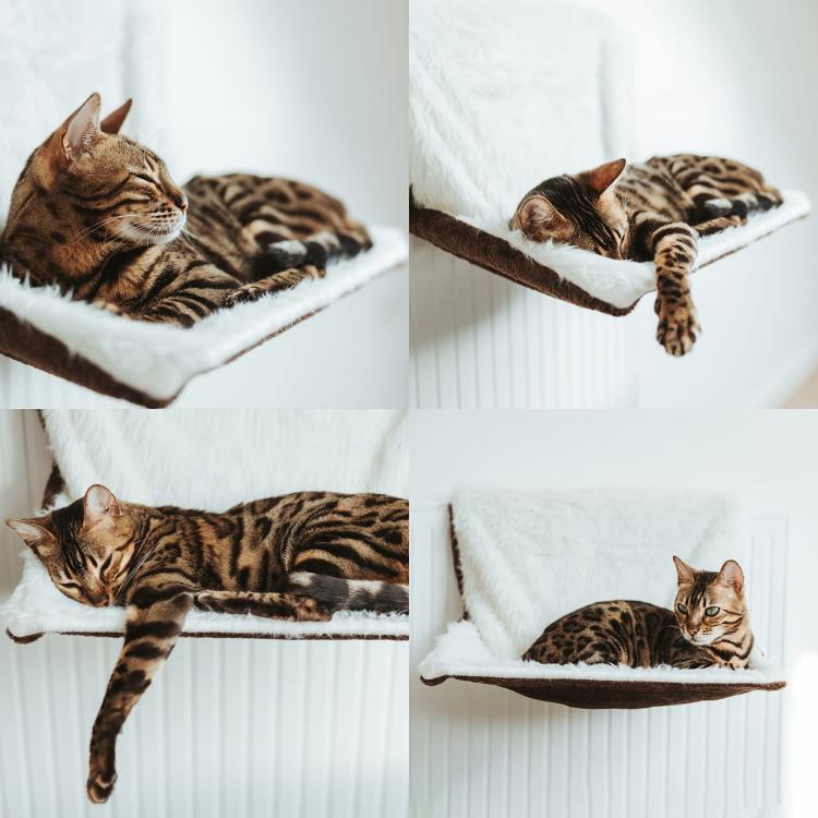 Restful Sleep | Legowisko na kaloryfer dla kota | Canadian Cat | Plusz długowłosy / welur | 46 x 26 x 31 cm | kremowobrązowe od ParrotPlanet.pl