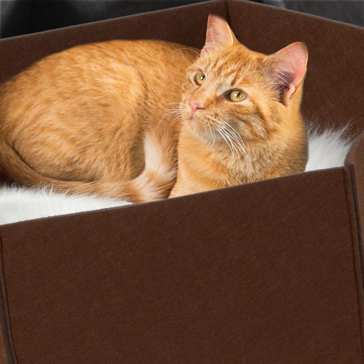 AVA | Legowisko Kosz dla kota z filcu | Canadian Cat | rozmiar L | brąz od ParrotPlanet.pl