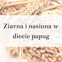 Poradnik ParrotPlanet.pl- Ziarna i nasiona w diecie papug.png