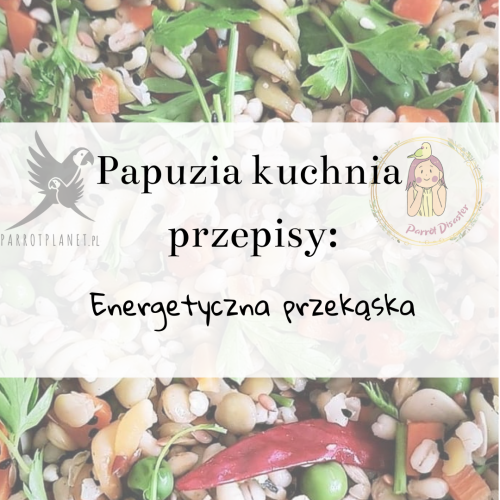 PaPuzia Kuchnia ParrotPlanet- Energetyczna Przekąska - Autorski Przepis Adzioszki z Parrot Disaster