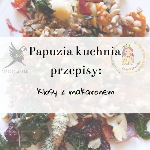 PaPuzia Kuchnia ParrotPlanet- KŁOSY Z MAKARONEM - Autorski Przepis Adzioszki z Parrot Disaster
