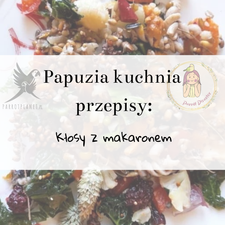 PaPuzia Kuchnia ParrotPlanet- KŁOSY Z MAKARONEM - Autorski Przepis Adzioszki z Parrot Disaster