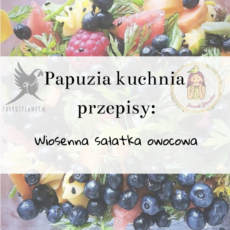 PaPuzia Kuchnia ParrotPlanet- WIOSENNA SAŁATKA OWOCOWA - Autorski Przepis Adzioszki z Parrot Disaster