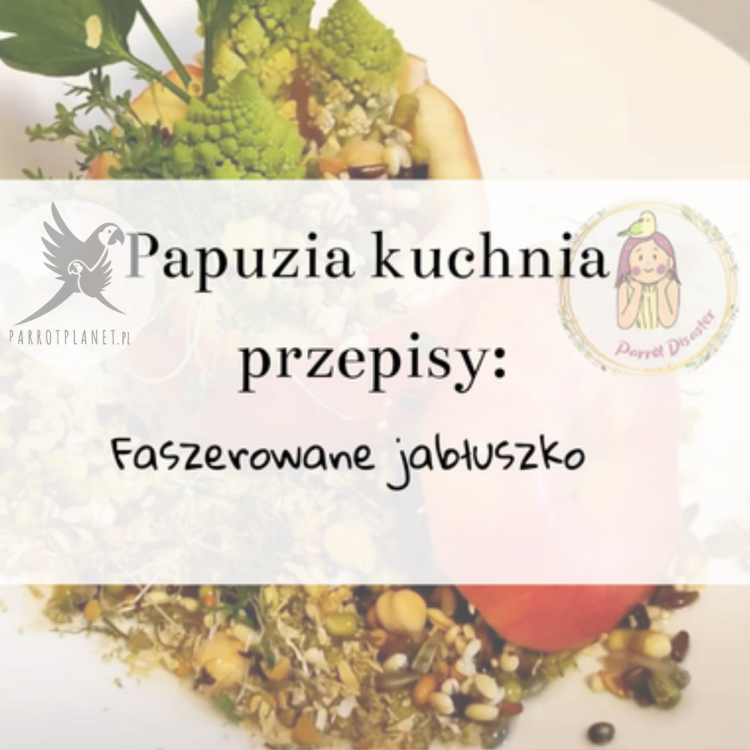 PAPUZIA Kuchnia ParrotPlanet- FASZEROWANE JABŁUSZKO - Autorski Przepis Adzioszki z Parrot Disaster
