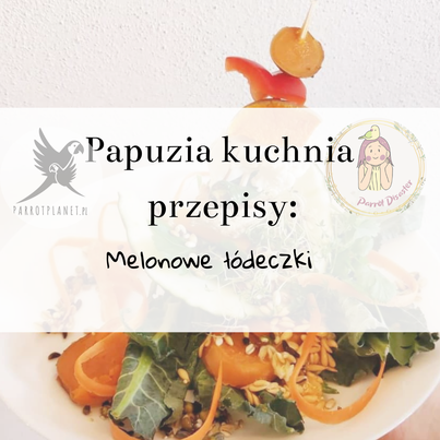 PAPUZIA Kuchnia ParrotPlanet- MELONOWE ŁÓDECZKI - Autorski Przepis Adzioszki z Parrot Disaster
