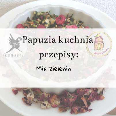 PAPUZIA Kuchnia ParrotPlanet- MIX ZIAREN- Autorski Przepis Adzioszki z Parrot Disaster