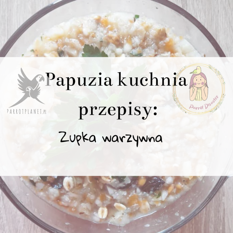 Papuzia Kuchnia ParrotPlanet.pl - zupka warzywna .png