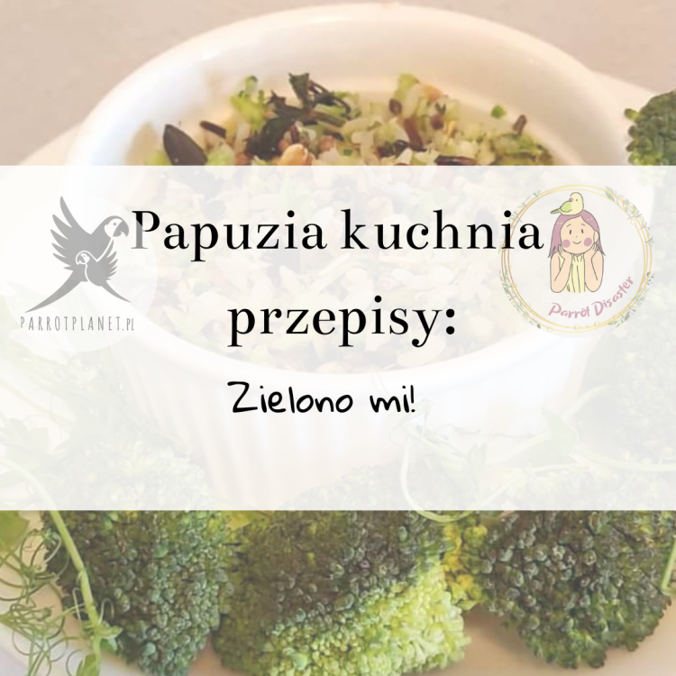 PAPUZIA Kuchnia ParrotPlanet- ZIELONO MI - Autorski Przepis Adzioszki z Parrot Disaster