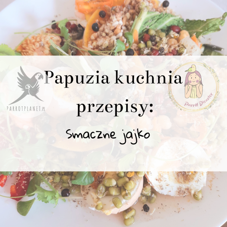 PAPUZIA Kuchnia ParrotPlanet- SMACZNE JAJKO - Autorski Przepis Adzioszki z Parrot Disaster