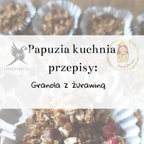 PAPUZIA Kuchnia ParrotPlanet- GRANOLA Z ŻURAWINĄ - Autorski Przepis Adzioszki z Parrot Disaster