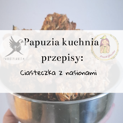 PAPUZIA Kuchnia ParrotPlanet- CIASTECZKA Z NASIONAMI - Autorski Przepis Adzioszki z Parrot Disaster