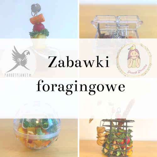 Poradnik ParrotPlanet- ZABAWKI FORAGINGOWE -podstawowe informacje