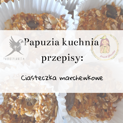 PAPUZIA Kuchnia ParrotPlanet- CIASTECZKA MARCHEWKOWE - Autorski Przepis Adzioszki z Parrot Disaster