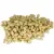 Back Zoo Nature - Orzeszki Pinii dla papug 50g od ParrotPlanet.pl