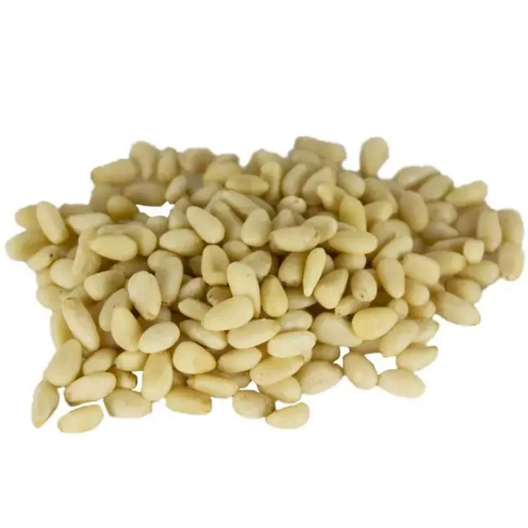 Back Zoo Nature - Orzeszki Pinii dla papug 50g od ParrotPlanet.pl