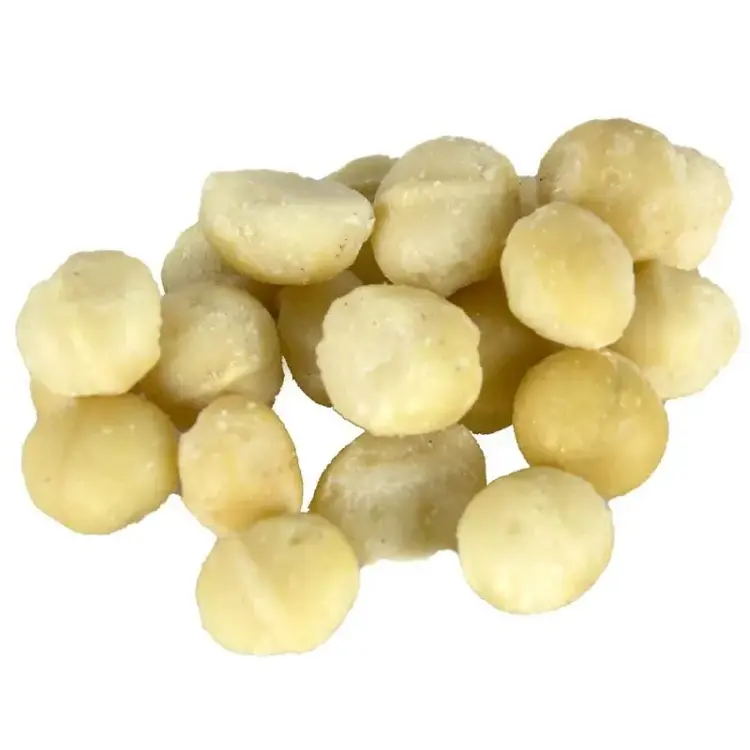 Back Zoo Nature - Orzechy Makadamia dla papug 50g od ParrotPlanet.pl