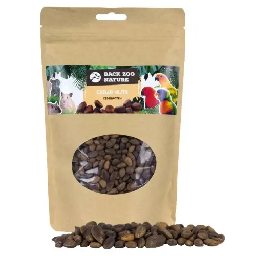 Back Zoo Nature -  Orzechy Cedrowe dla papug 200g od ParrotPlanet.pl