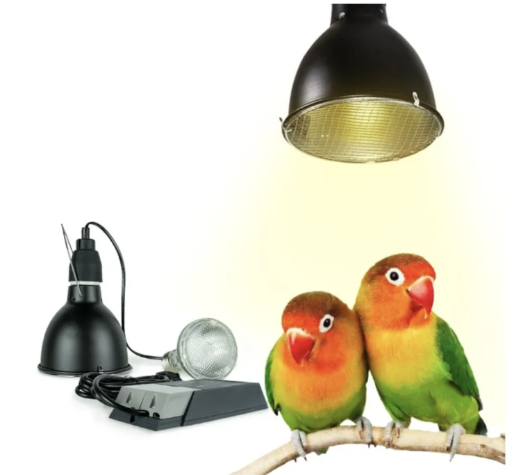 Back Zoo Nature Bird Sun UV - Żarówka dla papug 35W od ParrotPlanet.pl