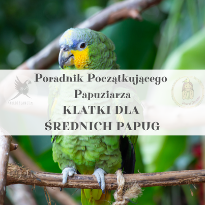 Poradnik ParrotPlanet - Poradnik Początkującego Papuziarza - Klatki dla średnich Papug od ParrotPlanet.pl
