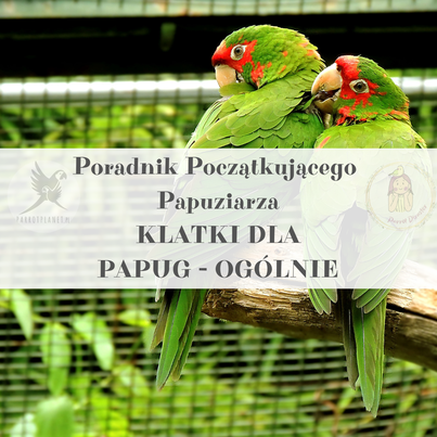 Poradnik ParrotPlanet - Poradnik Początkującego Papuziarza - KLATKI dla papug - Informacje ogólne