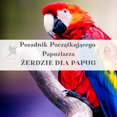 Poradnik ParrotPlanet - Poradnik Początkującego Papuziarza - Żerdzie - jak wybrać odpowiednia żerdzie dla Twojej papugi
