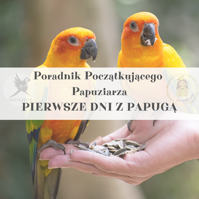 Poradnik ParrotPlanet - Poradnik Początkującego Papuziarza - Pierwsze dni z Papugą