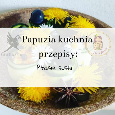 PAPUZIA Kuchnia ParrotPlanet- PTASIE SUSHI - Autorski Przepis Adzioszki z Parrot Disaster