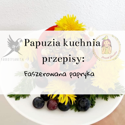 PAPUZIA Kuchnia ParrotPlanet- FASZEROWANA PAPRYKA - Autorski Przepis Adzioszki z Parrot Disaster