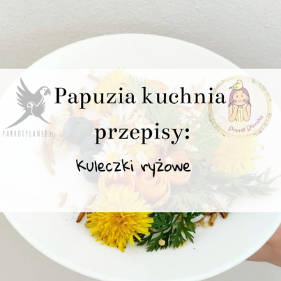 PAPUZIA Kuchnia ParrotPlanet- KULECZKI RYŻOWE - Autorski Przepis Adzioszki z Parrot Disaster