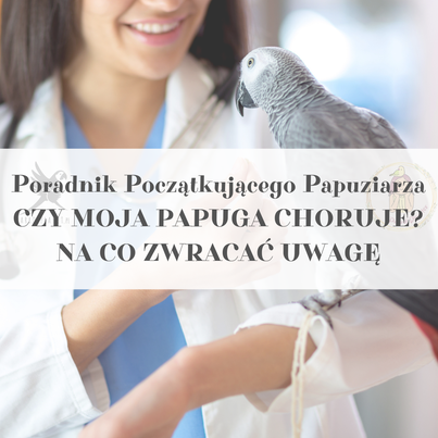 Poradnik ParrotPlanet - Poradnik Początkującego Papuziarza - CZY MOJA PAPUGA JEST CHORA?