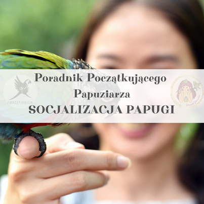 Poradnik ParrotPlanet - Poradnik Początkującego Papuziarza - PRAWIDŁOWA SOCJALIZACJA PAPUGI