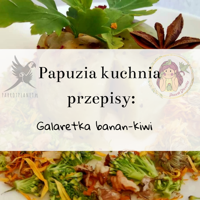 PAPUZIA Kuchnia ParrotPlanet- GALARETKA BANAN KIWI - Autorski Przepis Adzioszki z Parrot Disaster