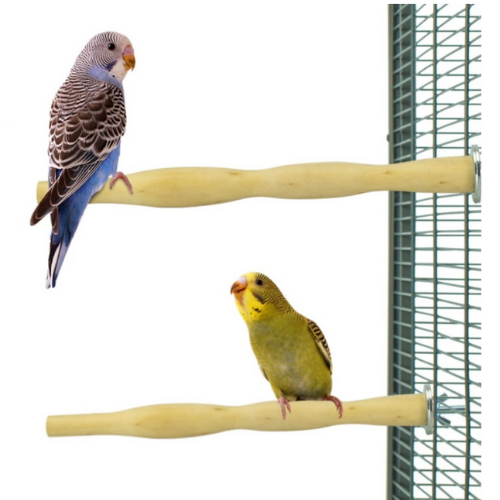 Żerdź DUO rozmiar S dla małych papug od ParrotPlanet.pl