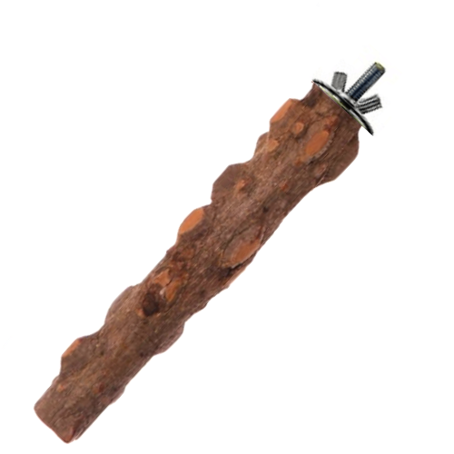 Żerdź z drewna pieprzowego S  dla małych papug rozm 15 cm x 2,2 cm od ParrotPlanet.pl