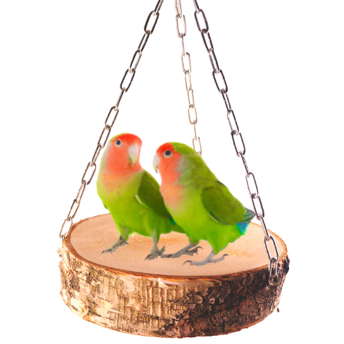 Naturalny Podwieszany Stoliczek M/L - dla wszystkich mniejszych i średnich papug od ParrotPlanet.pl