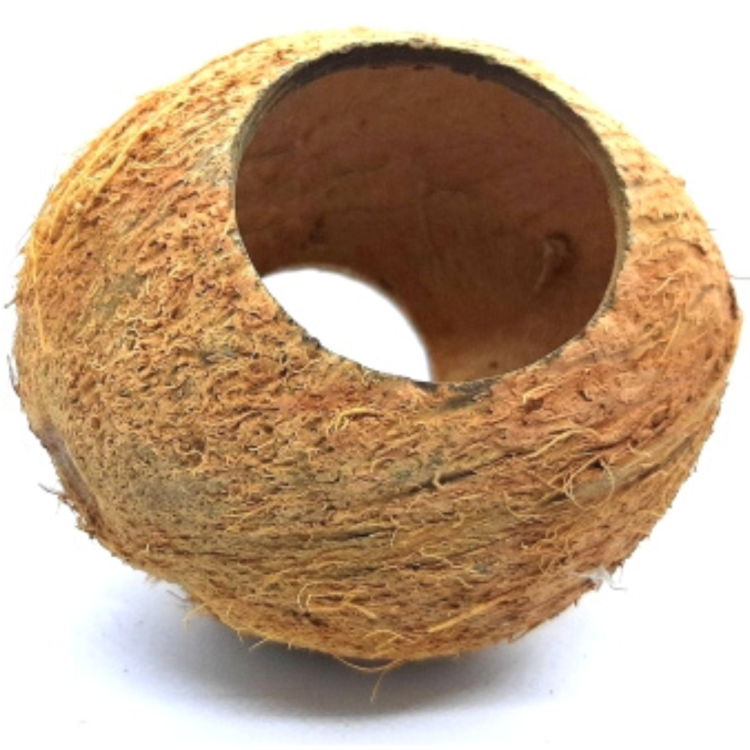 Kokos Cały z dwoma otworami- DIY - naturalna zabawka z EKO kokosa dla papug od ParrotPlanet.pl