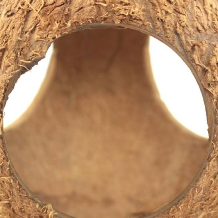 Kokos Cały z trzema otworami- DIY - naturalna zabawka z EKO kokosa dla papug od ParrotPlanet.pl