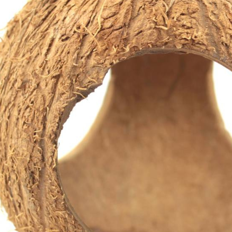 Kokos Cały z trzema otworami- DIY - naturalna zabawka z EKO kokosa dla papug od ParrotPlanet.pl