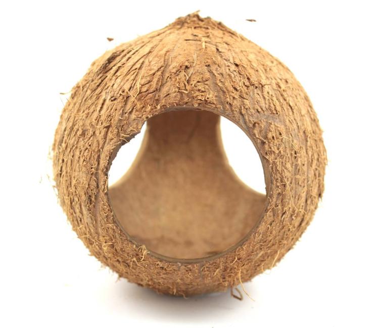 Kokos Cały z trzema otworami- DIY - naturalna zabawka z EKO kokosa dla papug od ParrotPlanet.pl