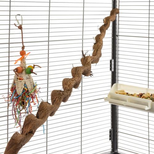 Naturalna Liana dla największych PaPug od 100 do 120 cm średnica od 4 do 6 cm XL/XXL