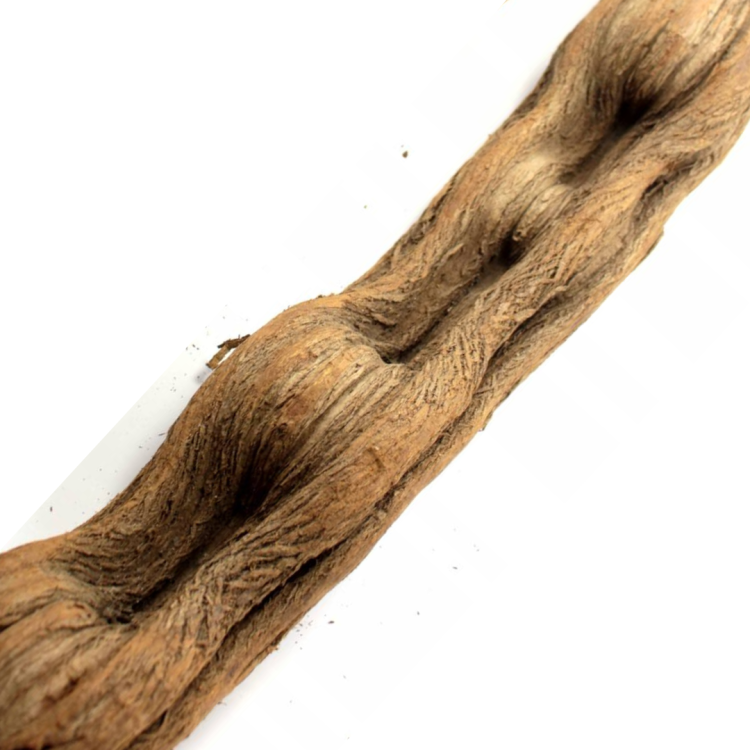 Naturalna Liana dla największych PaPug od 100 do 120 cm średnica od 4 do 6 cm XL/XXL