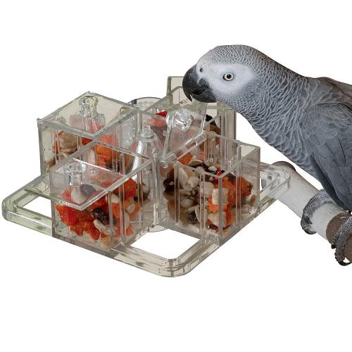 Misa Obiadowa - zastawa stołowa dla papug od ParrotPlanet.pl