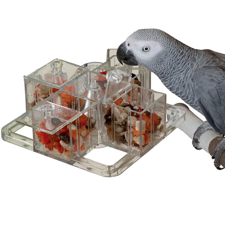 Misa Obiadowa - zastawa stołowa dla papug od ParrotPlanet.pl