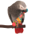 Haltère 2 – Jouet en bois à tenir pour perroquets moyens et grands – 11 cm ParrotPlanet.fr