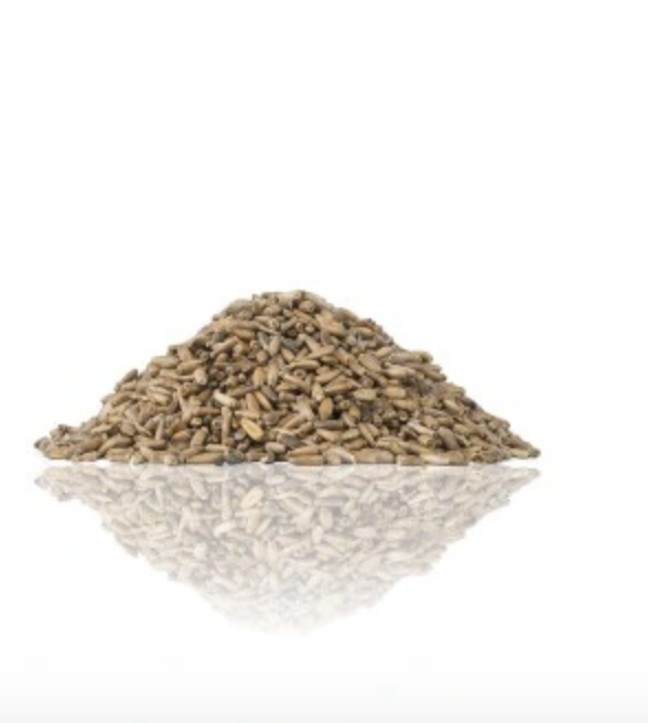TIVO Ostropest plamisty dla papug – naturalny dodatek roślinny 100g  od ParrotPlanet.pl