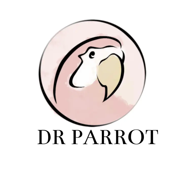 Kołnierz Przeciw Skubaniu dla papug rozmiar S dr Parrot - od ParrotPlanet.pl