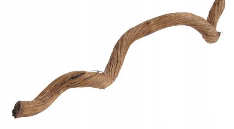 Naturalna Liana dla wszystkich PaPug 100 - 110 cm długości, średnica 1-2cm rozm.XS od ParrotPlanet.pl