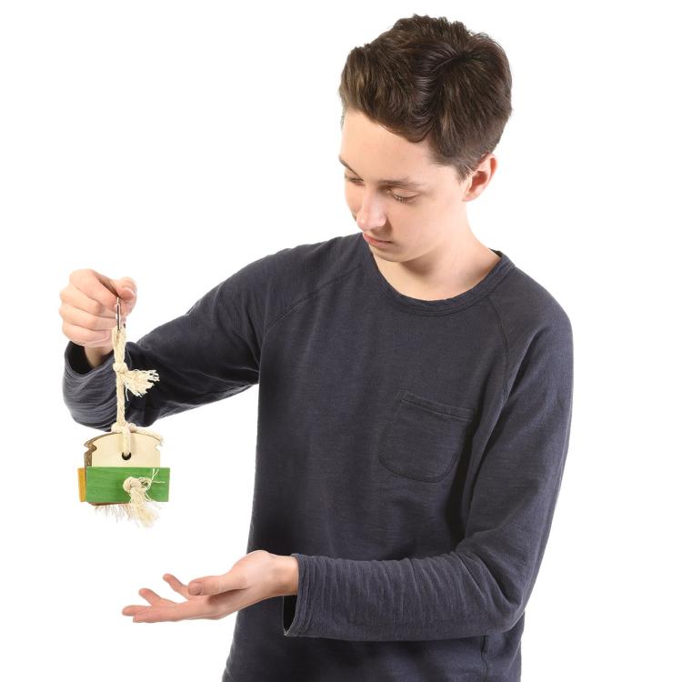 Sandwich - mega kanapka dla wszystkich papug  od ParrotPlanet.pl