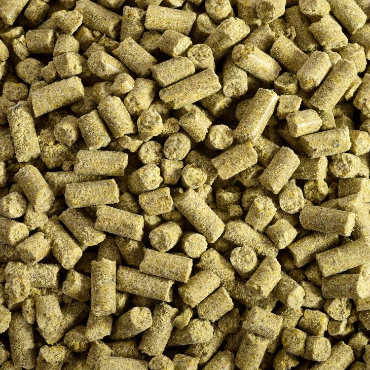 Wagner's Pellets- Granulat zimnotłoczony Wagner's dla średnich i dużych papug 750g od ParrotPlanet.pl